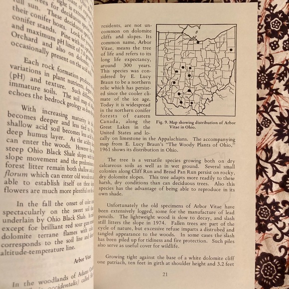 The Wilderness Charles A Eulett Preserve Cincinnati Museum of Natural History OH - Picture 4 of 8